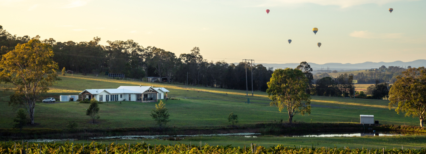 Hot air balloons at Molly Morgan Vineyard